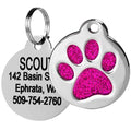 Stainless Steel Personalized Dog & Cat ID Tag Z3970