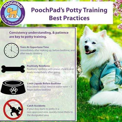 Potty Training Attractant P361
